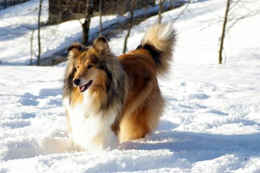 Fotos f. Homepage Galerie 044